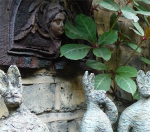 Peter Sheard CMLI - Garden Design - Private Garden, Chiswick