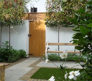 Peter Sheard CMLI - Garden Design - Private Garden, West London